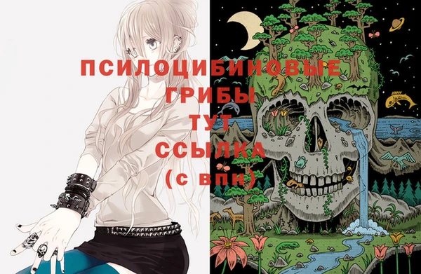 стаф Богородицк