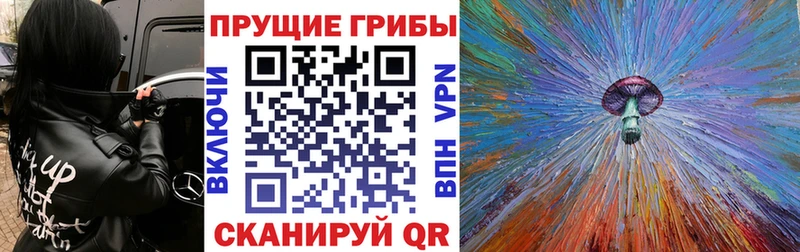 Галлюциногенные грибы Cubensis  Нерюнгри 